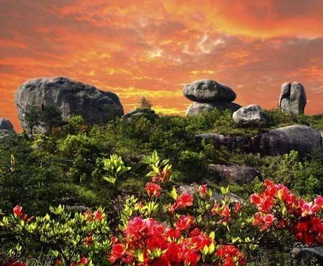 玉苍山国家森林公园